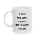 Of All The Canals Mug